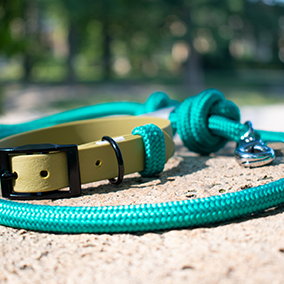 GODDOG szettek egyedileg választható színekkel