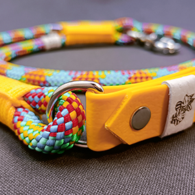 GODDOG négyszínű póráz